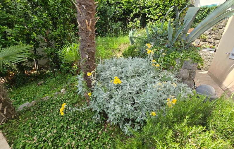 Villa Medea sea view