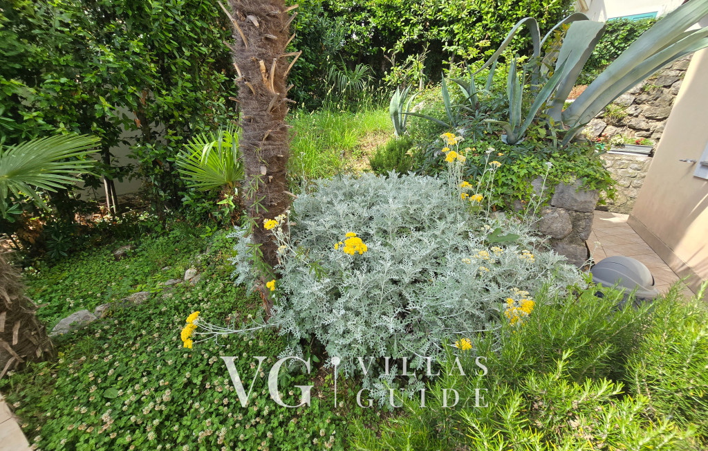 Villa Medea sea view Garden and property exterior