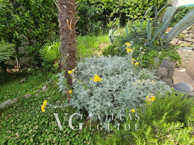 Villa Medea sea view