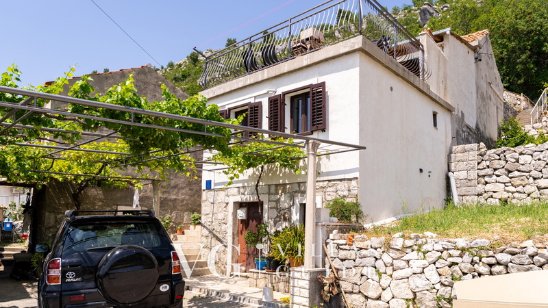 Village house Kate Dubravica