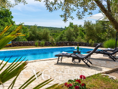 Villa Verde Oliva Residence with pool Pool