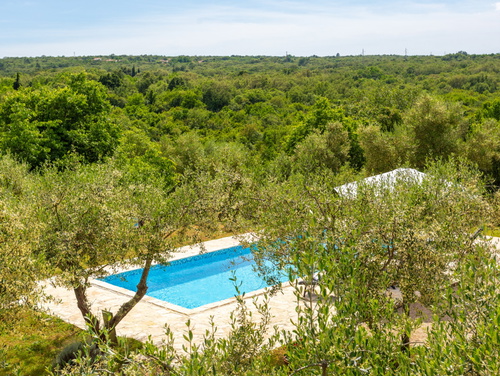 Villa Verde Oliva Residence with pool