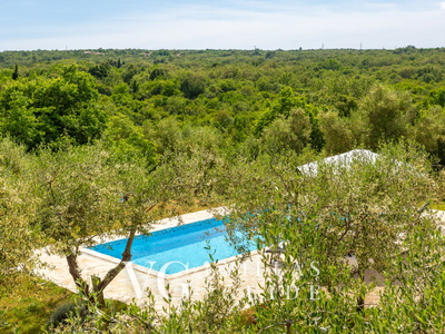 Villa Verde Oliva Residence with pool Pool
