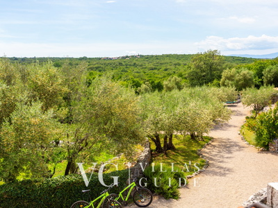 Villa Verde Oliva Residence with pool Additional content