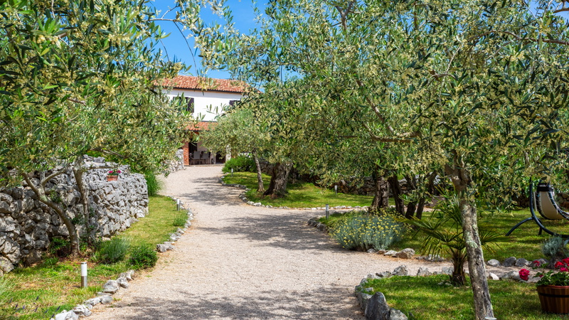 Villa Verde Oliva Residence with pool