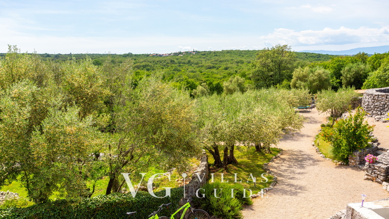 Villa Verde Oliva Residence with pool Contenuto aggiuntivo
