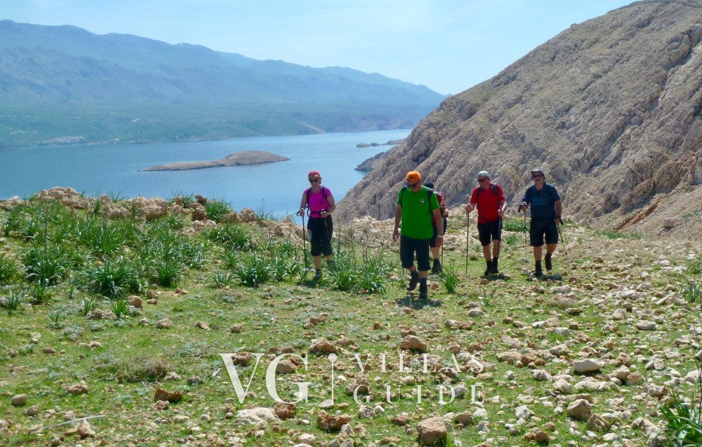 Holiday Home Capella -pet friendly&80m from the sea- Island of Rab micro_location