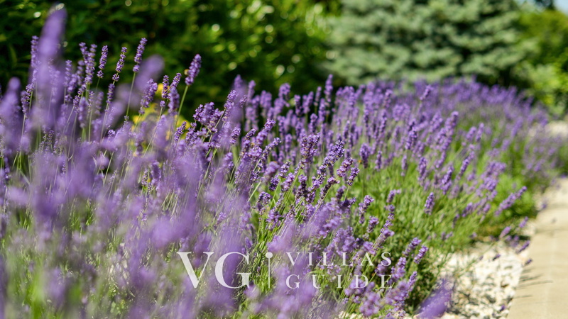 Villa Mila Additional content