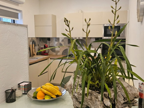 Apartman Katija Cavtat