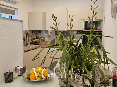 Apartman Katija Cavtat