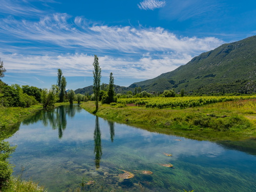 Family Dream Dalmatia - Split-Košute