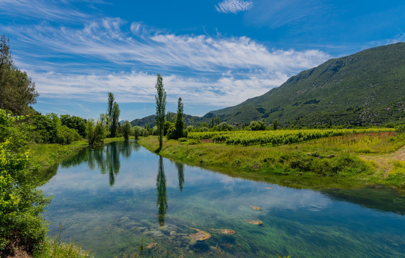 Family Dream Dalmatia - Split-Košute