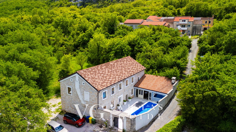 Villa Elefant