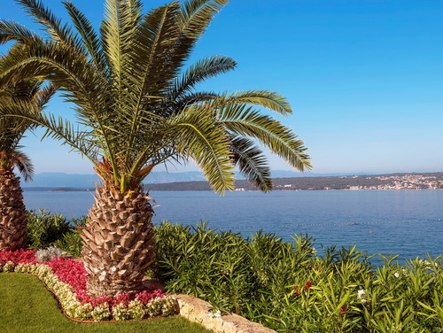 Villa Palace Clara Apartment 2 island Krk