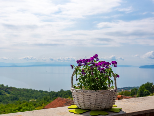 Apartment Daša with pool