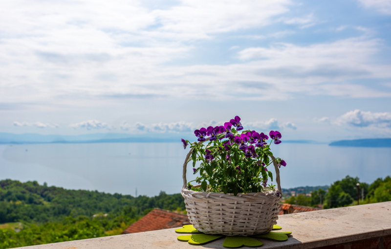 Apartment Daša with pool
