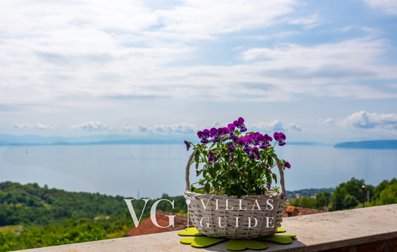 Apartment Daša with pool