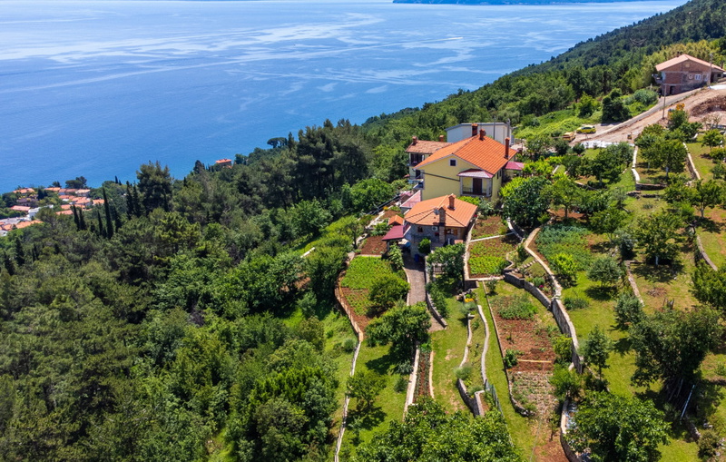 Apartment Milena 1 Opatija Lovran