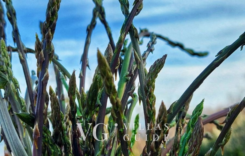 Holiday home Marijana with pool & whirpool Microlocation