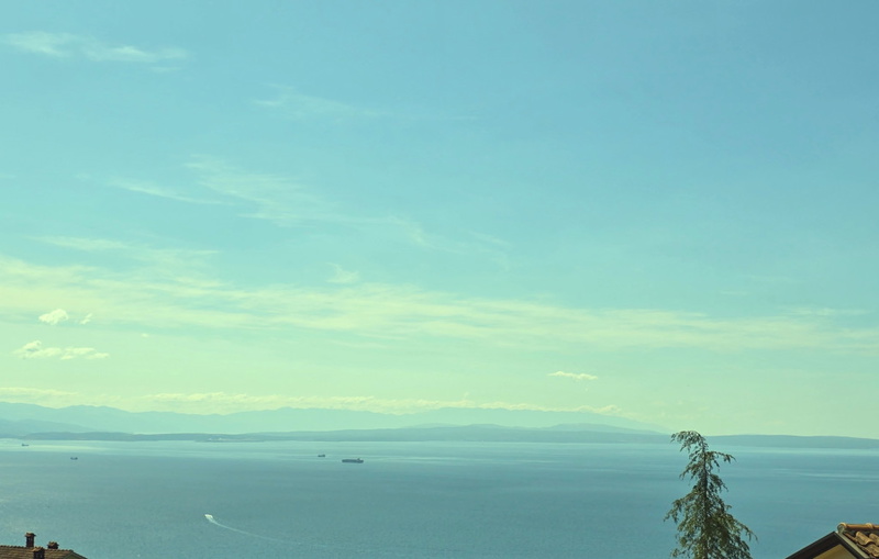 Holiday home Marijana with pool & whirpool