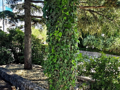 Holiday Home Villa Laura - Island of Krk