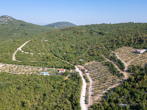 Country house Maslina