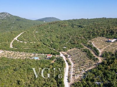 Country house Maslina