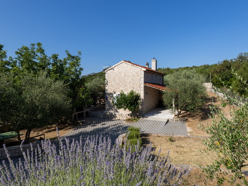 Country house Maslina