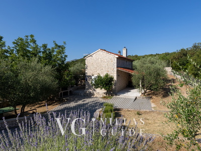 Country house Maslina Dvorište i vanjski dio objekta