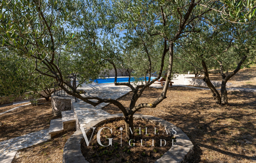 Country house Maslina Bazen