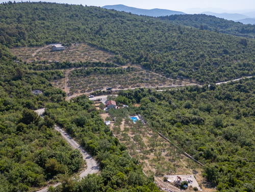 Country house Maslina