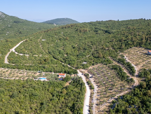 Country house Maslina