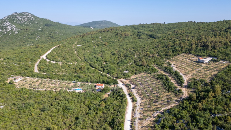 Country house Maslina