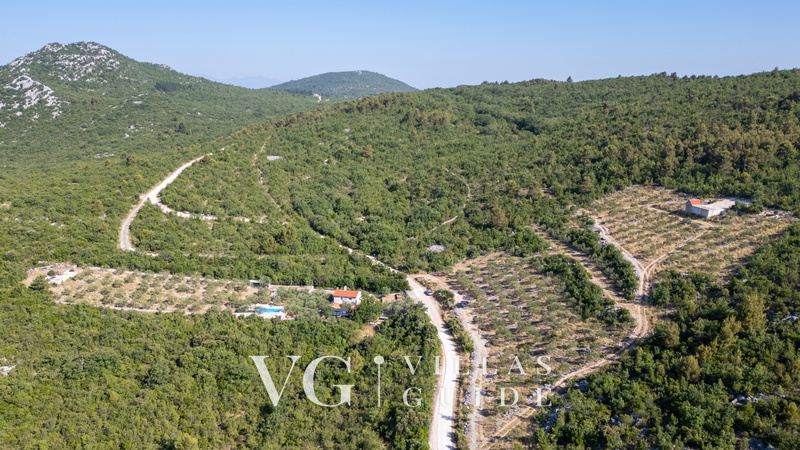 Country house Maslina