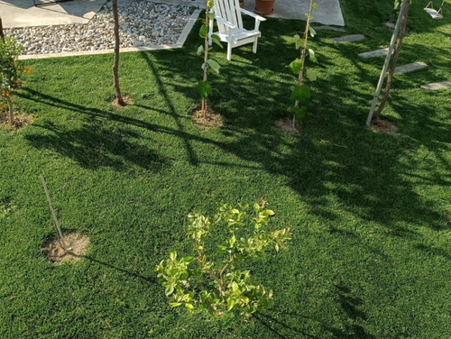 Apartman Family Čović 2