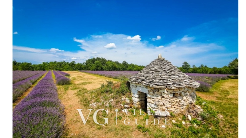 Villa Maya micro_location