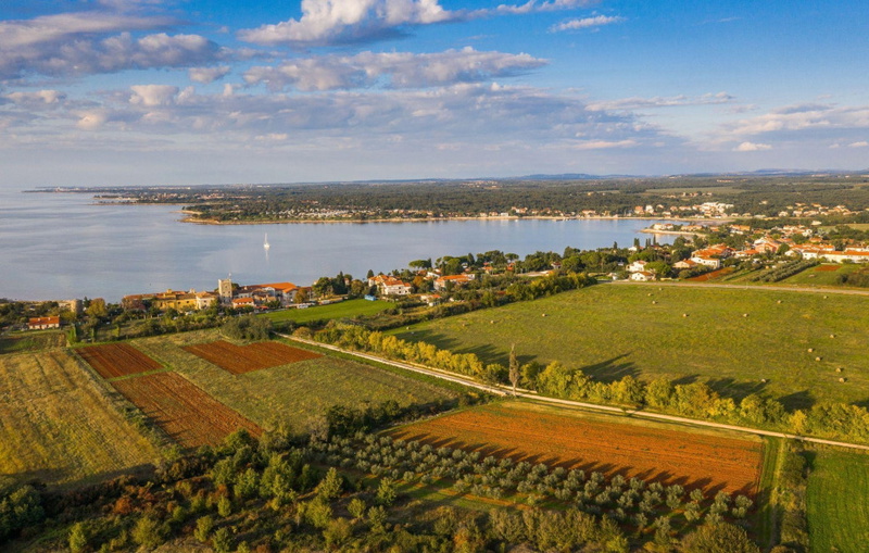 B&M Apartments Novigrad