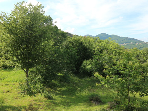 Legato apartman Opatija-Veprinac