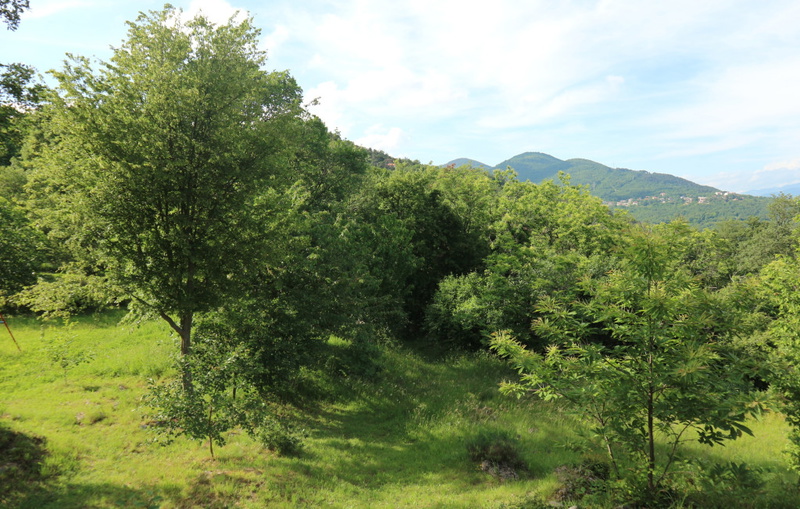 Legato apartman Opatija-Veprinac