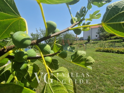 Legato apartman Opatija-Veprinac Microlocation