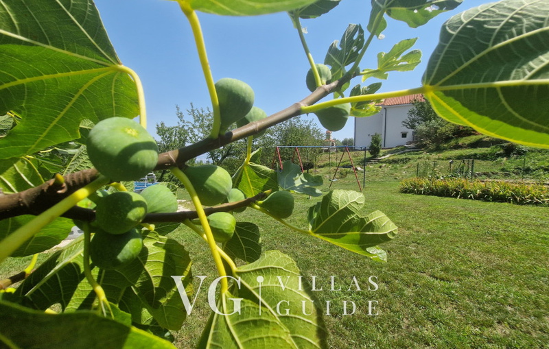 Legato apartman Opatija-Veprinac Microlocation