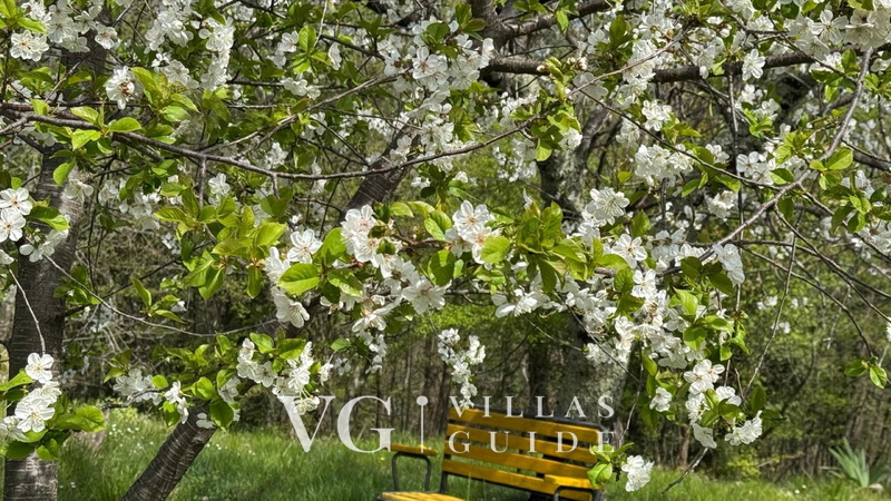 Legato apartman Opatija-Veprinac Garden and property exterior