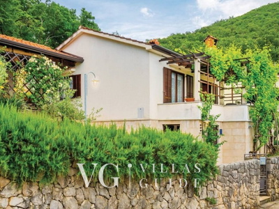 Villa Imortele aria with pool&whirpool island Cres Dvorište i vanjski dio objekta