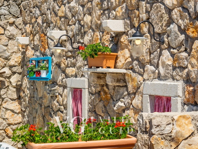 Villa Imortele aria with pool&whirpool island Cres Dvorište i vanjski dio objekta