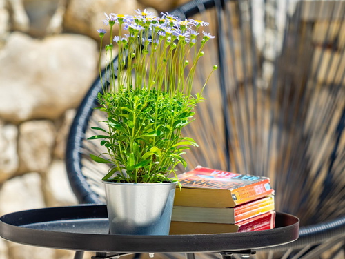 Villa Imortele aria with pool&whirpool island Cres