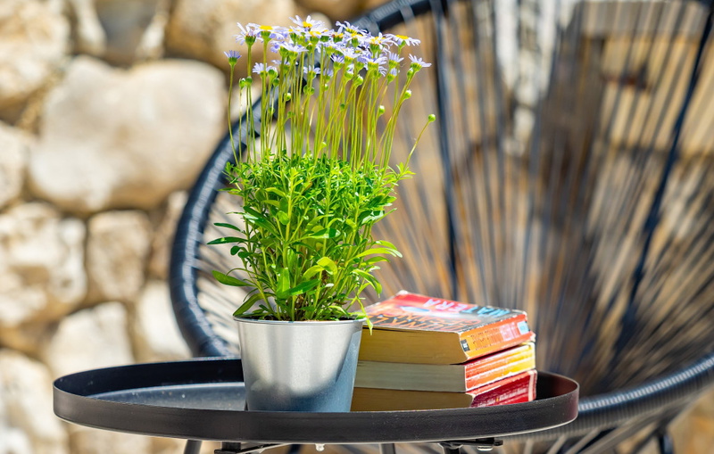 Villa Imortele aria with pool&whirpool island Cres