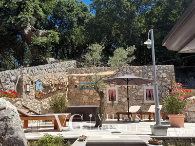 Villa Imortele aria with pool&whirpool island Cres Giardino e esterni della proprietà