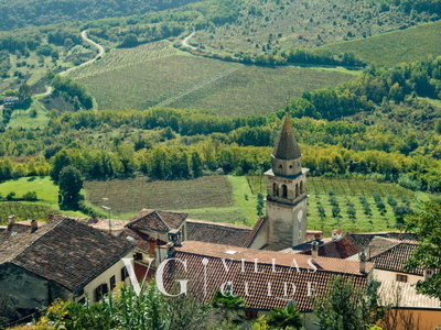 Villa Pigini Microlocation