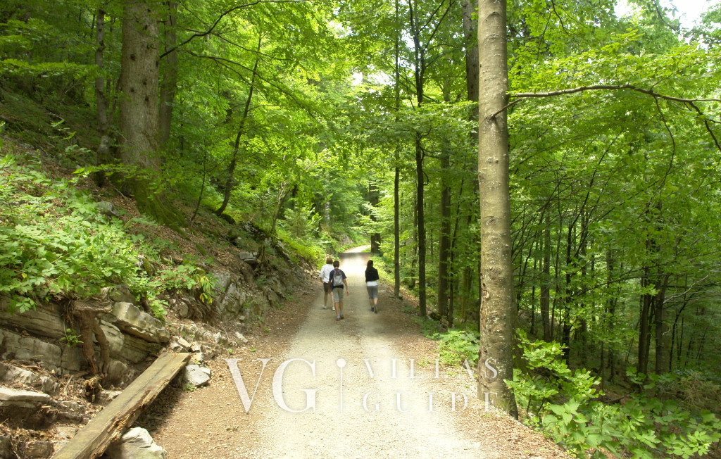 Kuća za odmor ZORA Microposizione