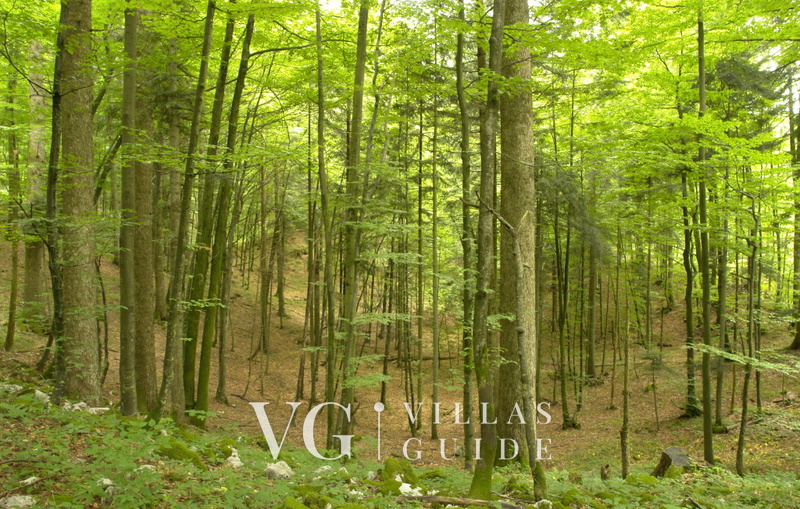 Kuća za odmor ZORA Mikrolokacija